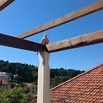 Nyaraló Villa Lapetra Cavtat